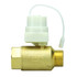 Floodstop FSAV1NPT Valve Only 1" NPT