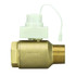 Floodstop FSAV150NPT Valve Only 1 1/2" NPT