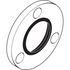 Hansgrohe 13936000 HG Escutcheon Quattro D: 108MM Polished Chrome