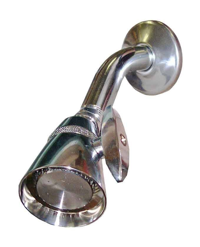 Leonard Valve H14 Shower Head