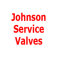 Johnson Service Valve