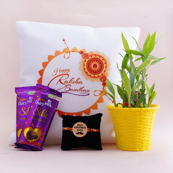 Lucky Bamboo Plant with Bro Rakhi N Rakshabandhan Cushion - For INDIA 