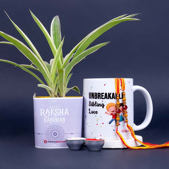 Pearl Rakhi with Mug and Spider Plant - For INDIA