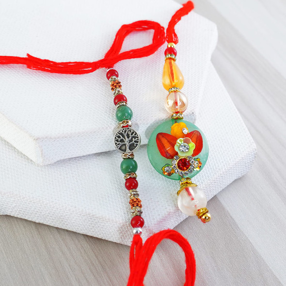 Bhaiya Bhabhi Rakhi with Jade Plant Snake Plant N Chocolates - For INDIA