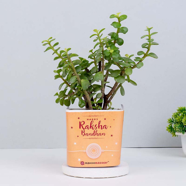 Rakhi Set with Personalized Photo Mug - For INDIA