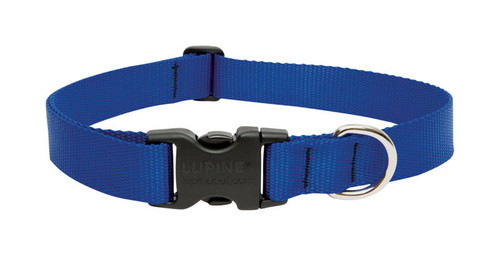 Lupine - 17552 - Pet Basic Solids Blue Blue Nylon Dog Adjustable Collar