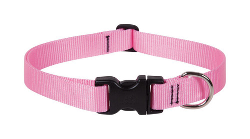 Lupine - 57552 - Pet Basic Solids Pink Pink Nylon Dog Adjustable Collar