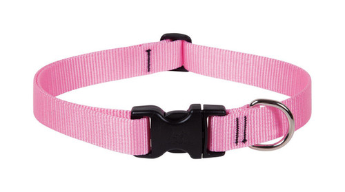 Lupine - 57553 - Pet Basic Solids Pink Pink Nylon Dog Adjustable Collar