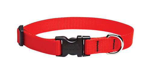 Lupine - 22502 - Pet Basic Solids Red Red Nylon Dog Adjustable Collar