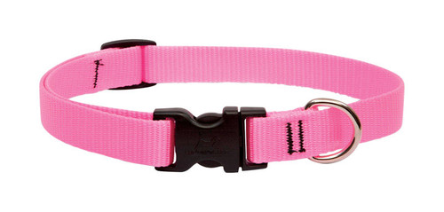 Lupine - 57502 - Pet Basic Solids Pink Pink Nylon Dog Adjustable Collar