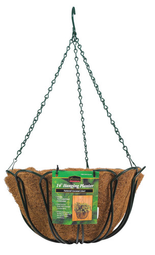 Panacea - 88503 - Steel Hanging Basket Green