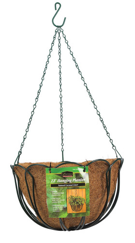 Panacea - 88500 - Steel Hanging Basket Green