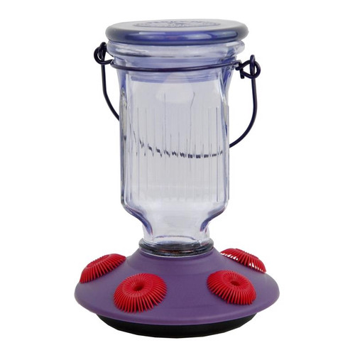 Perky-Pet - 9101-2 - Hummingbird 16 oz. Glass/Plastic Nectar Feeder 5 ports