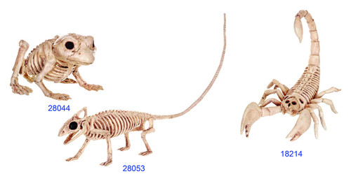 Seasons - Z28061 - Mini Animal Skeletons Halloween Decor