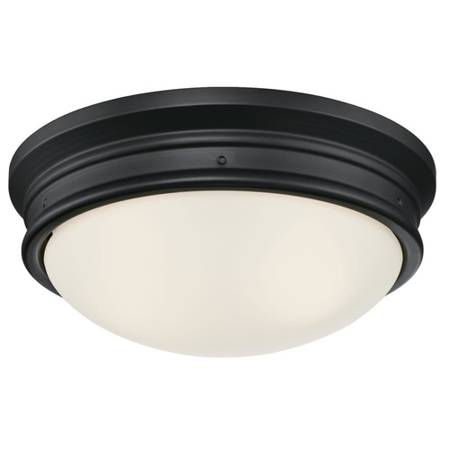 Westinghouse - 63241 - Meadowbrook Switch Incandescent Matte Black Wall Pack Light Fixture Hardwired