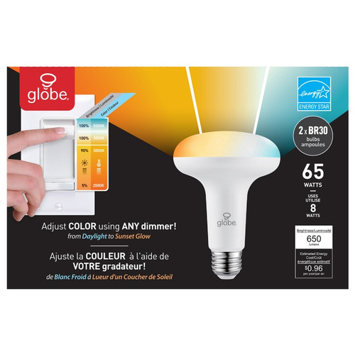 Globe Electric - 33132 - BR30 E26 (Medium) LED Bulb Daylight 65 W 2 pk