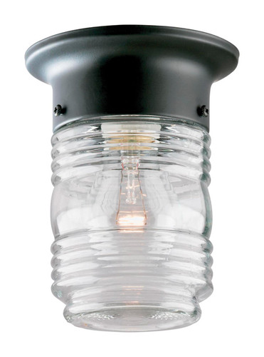 Westinghouse - 66919 - Matte Clear Porch Light