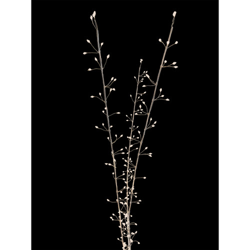 Celebrations - MICBWTWIG38WWA - LED Warm White 38 in. Lighted Branches Accessory