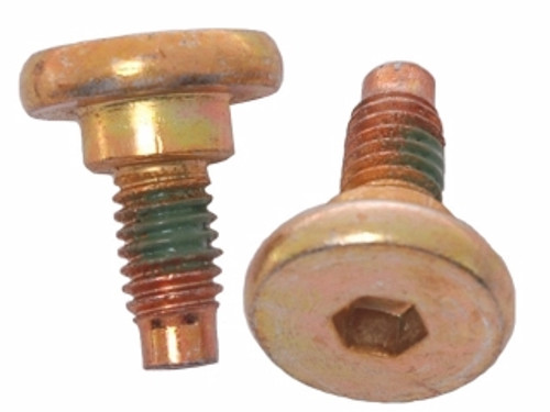 Raybestos - H5019W - Caliper Bolts