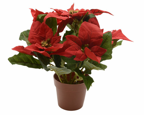 Decoris - 627876 - Red Potted Poinsettia Christmas Decor