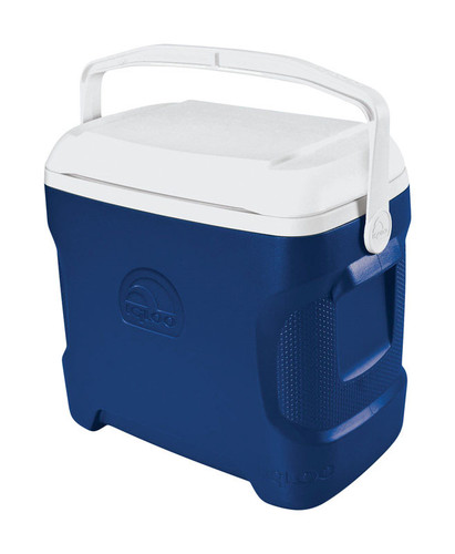 Igloo - 50332 - Contour Cooler 30 qt. Blue
