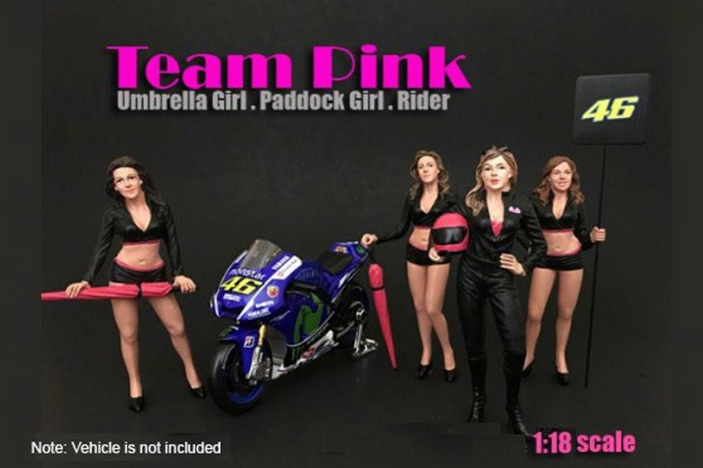 Team Pink Paddock Girl, American Diorama 77437 - 1/18 Scale Accessory for Diecast Cars