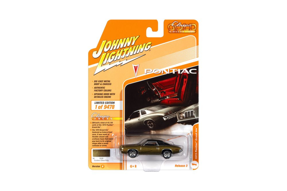 1973 Pontiac Grand AM, Golden Olive Green Metallic - Johnny