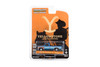 1978 Ford F-250, Yellowstone - Greenlight 44980E/48 - 1/64 Scale Diecast Model Toy Car