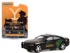2011 Dodge Charger Pursuit, Yellowstone - Greenlight 44980D/48 - 1/64 Scale Diecast Model Toy Car
