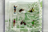 Family Adventure 6 pc Figure Set, Asstd - American Diorama AD-76513MJ - 1/64 Scale Figurine - Diorama Accessory