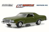 1976 Ford Gran Torino Hard Top, Dark Green Metallic - Greenlight 13210D/48 - 1/64 Scale Diecast Car