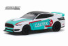 2019 Ford Mustang Shelby GT350R, Caltex Racing - Greenlight 30133/48 - 1/64 scale Diecast Car