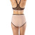 Elita Silk Magic Full Panty Brief with Sheer Mesh EL88738