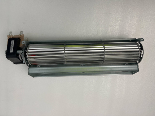 30100400081