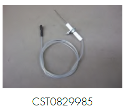 CST0829985
