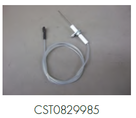 CST0829985