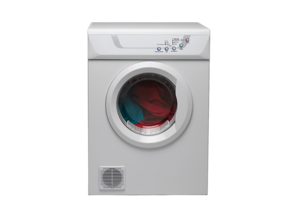 6kg Vented Dryer, White