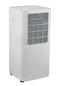Dimplex Ductless