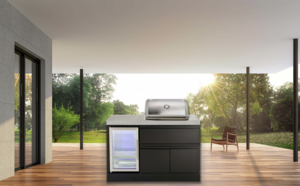 Mini kitchen with 2 Burner Gas BBQ