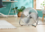 40cm High Velocity Floor Fan