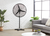 75cm High Velocity Pedestal Fan