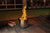 Masport Mawson Radial Firepit
