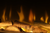 REAL FLAME EVOLVE 1800 OAK LOGSET