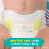 Pampers Swaddlers Softest Ever Diapers Size 1 - 210 ct. (8-14 lbs.) - *Pre-Order