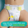 Pampers Swaddlers Softest Ever Diapers Size 1 - 210 ct. (8-14 lbs.) - *Pre-Order