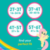 Pampers Easy Ups Training Pants Underwear for Girls 3T-4T - 124 ct. (30-40 lbs.) - *Pre-Order