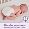 Member's Mark Premium Baby Diapers Size 1 - 176 ct. (8-14 lbs.) - [From 89.00 - Choose pk Qty ] - *Ships from Miami