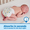 Member's Mark Premium Baby Diapers Size 6 - 150 ct. (35+ lbs.) - *Pre-Order