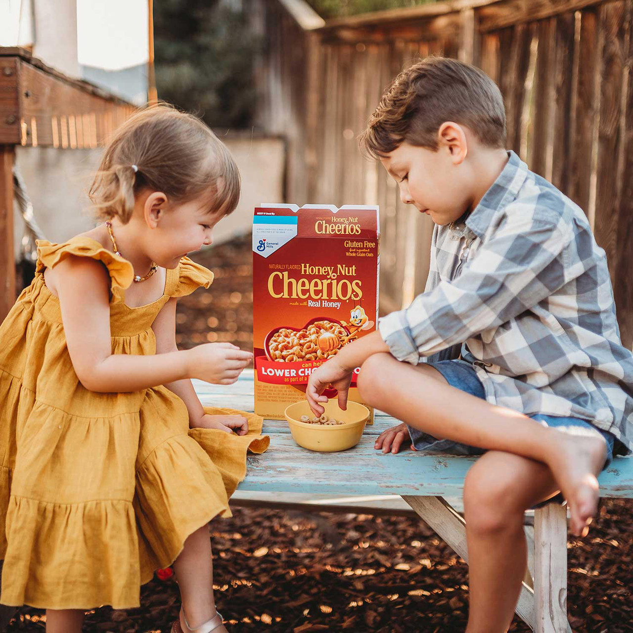 Honey Nut Cheerios Gluten-Free Cereal (24 oz., 2 pk.) - [From 94.00 - Choose pk Qty ] - *Ships from Miami