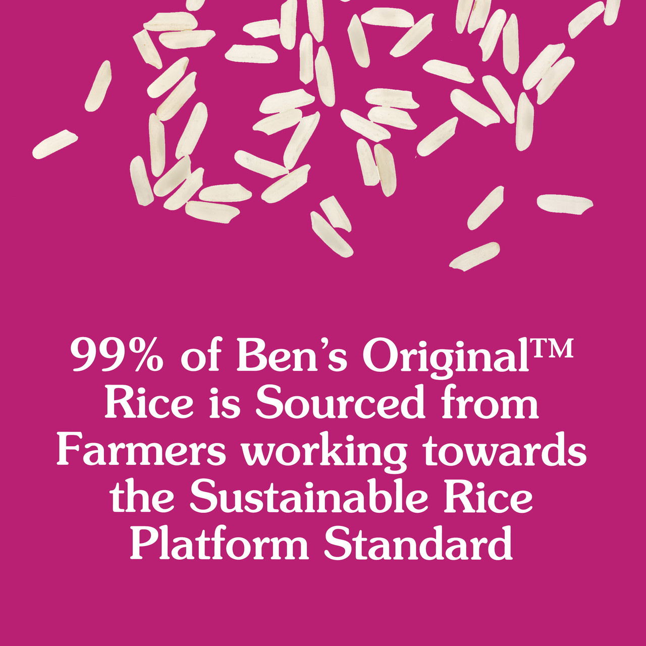 BEN'S ORIGINAL Whole Grain Brown Rice, 5 LB Bag - [From 37.00 - Choose pk Qty ] - *Ships from Miami